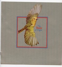 American Airlines First Class &amp; Coach Menus Yellow Warbler Beauty of Flight - $21.84