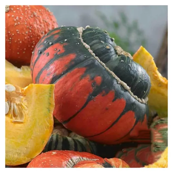 Turks Turban Gourd 5 Fresh Seeds - £10.79 GBP