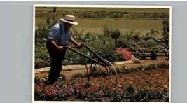 Vintage Amish Country Older Gentleman Plowing Postcard - £3.74 GBP