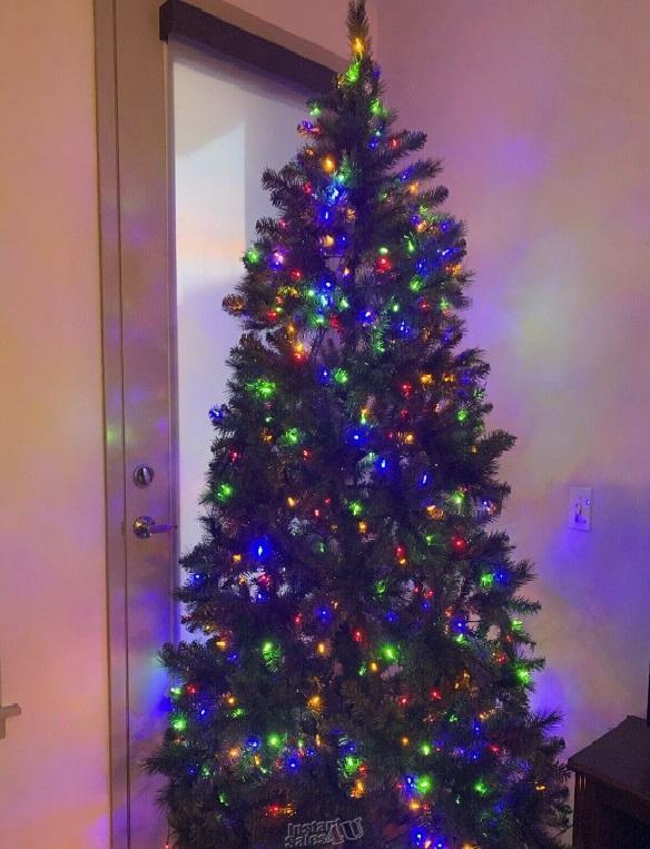 Primary image for Martha Stewart 7.5' Long Needle Pine Tree Multicolor Lights