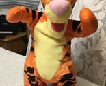 Fisher Price GET UP &#39;N BOUNCE Tigger Interactive Plush - 87956, Tested &amp;... - £22.26 GBP