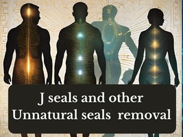 J seals and other Unnatural Seals Removal - £41.47 GBP