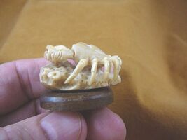 (tb-crab-7) little tan crab TAGUA NUT palm figurine Bali sea shore crabs - $54.59