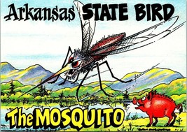Arkansas State Bird The Mosquito Wild Boar Funny Humor Comical Vintage P... - £7.44 GBP