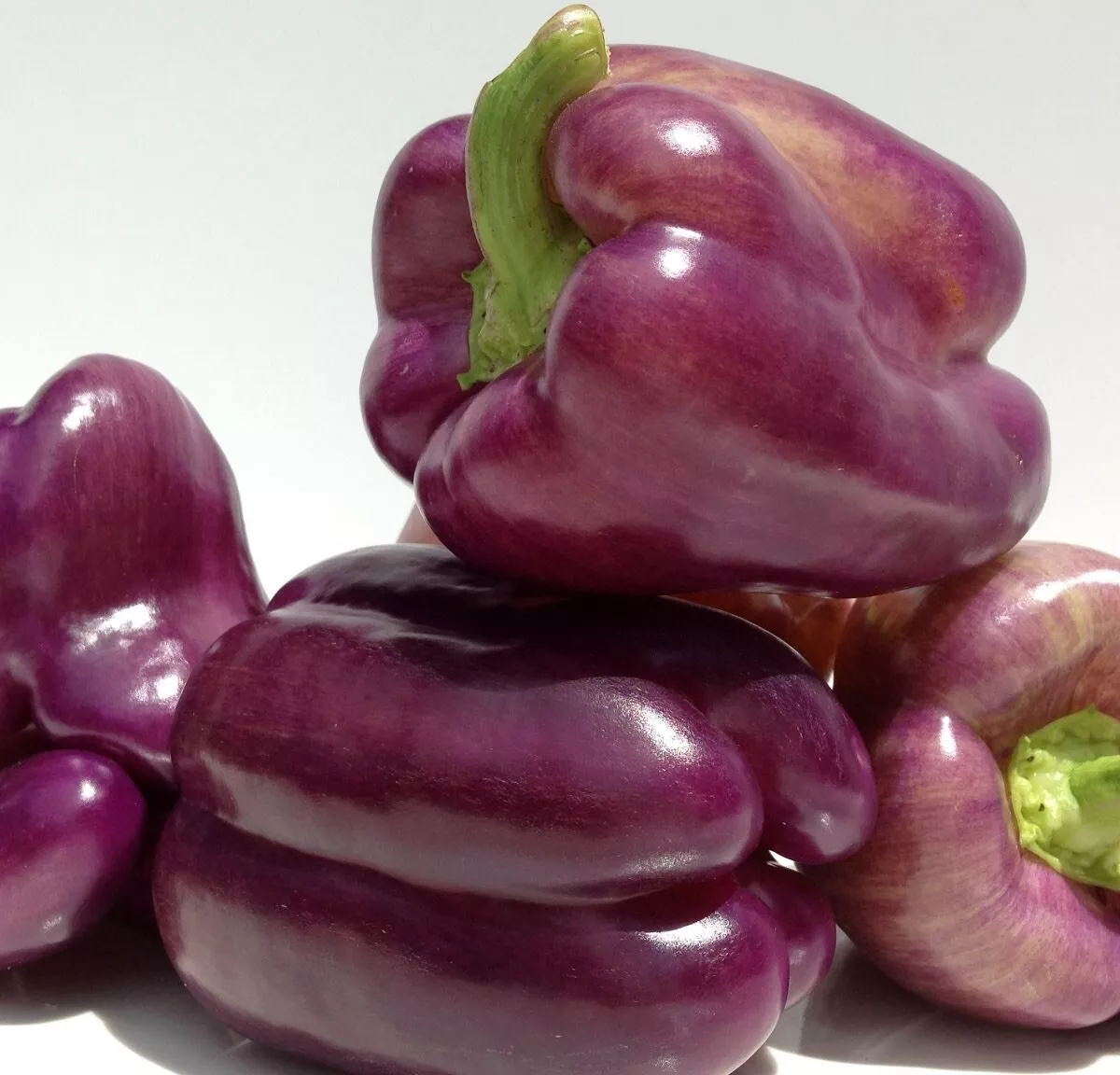 PSStore 30 Sweet Lilac Bell Pepper Non Gmo Heirloom Vegetable Seeds - $13.22 CAD