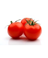 Celebrity Hybrid Tomato Seeds 30 Seed Pack by OrganicSeedSupply - $1.97