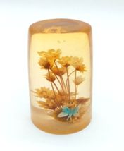 Vintage Daisyglas Lucite Dried Flowers Butterfly Paperweight Acrylic MCM USA - £14.23 GBP