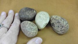 Item image 1 image 1