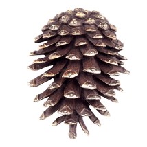 SPI Home Solid Brass Pinecone Doorknocker 7 Inches High - £127.58 GBP