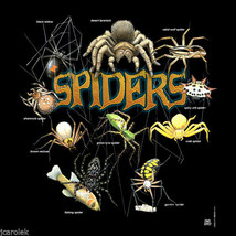 YOUTH T-shirt Spiders Nature S Small Cotton Black NWT New - £11.12 GBP