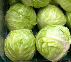 150 Seeds Cabbage Danish Ballhead Heirloom Seeds For R API D Garden Flair - $8.35