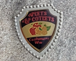 Aplets &amp; Cotlets Candy Cashmere Washington Vintage Souvenir Lapel Hat Pin - £11.76 GBP