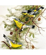 American Magnolia Warblers 1957 Lithograph Bird Print John H Dick DWDD5 - £39.32 GBP
