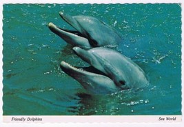 Postcard Shamu Killer Whale Sea World San Diego California - £2.21 GBP