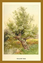 Willow Tree by W.H.J. Boot - Art Print - £17.57 GBP+