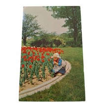 Postcard So Lovely Tulip Time Little Dutch Girl Holland Michigan Chrome Posted - £5.46 GBP