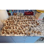Antique Casters Lot Of 100? Wood, Porcelain, Steel, Rubber STEAMPUNK ART - $162.58 CAD
