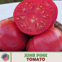 10 June Pink Tomato Seeds, Heirloom, Non-Gmo From US - £7.97 GBP