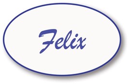 FIX IT FELIX from Wreck it Ralph Kids Movie Safety Pin Fastener Name Bad... - $14.99