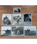 Lot of 7 Vintage Black &amp; White Photos Pet Lovers Amazing Pictures 70s Do... - $6.09 CAD
