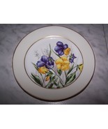 1876-1881 CFH Charles Field Haviland Decorative Desert Dish Plate (Pansy) 7.5W - $15.00