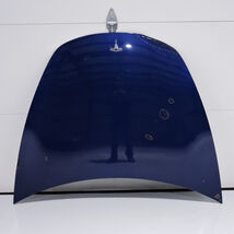 2017-2020 Tesla Model 3 Blue Front Frunk Hood Bonnet Shell Cover Factory... - $108.90