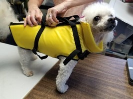 Pure Country Yellow Dog Floatation Life Jacket / Vest Medium 19&quot; Zip-up - £6.30 GBP