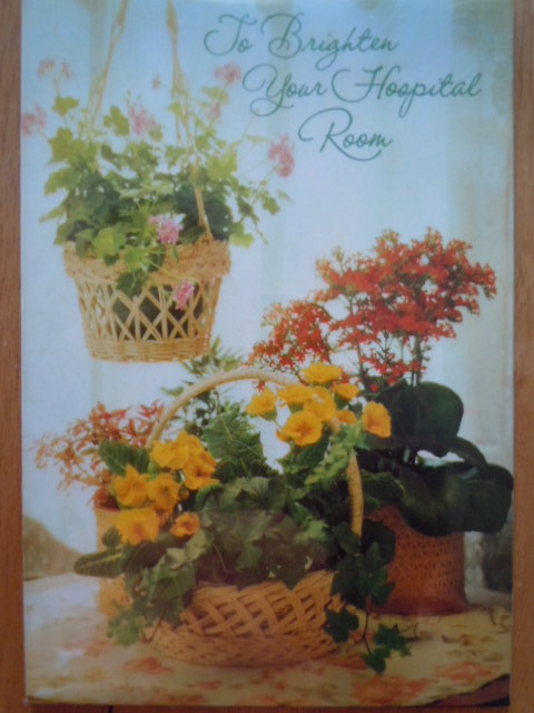 Vintage To Brighten Your Hospital Room Ambassador Greeting Card  - $2.99