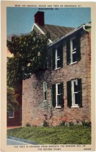 Unusual House and Tree, Braddock St., Winchester, Virginia, vintage post... - $13.99