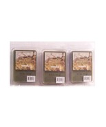 Sonoma Falling Leaves Scented Wax Cubes Wax Melts 6 cubes/2.5 oz 3 Pack - $18.95