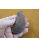 DF303-8) Fossil REAL 3-1/4&quot; DINOSAUR Bone Slice Jurassic Dino love dinos... - $17.75