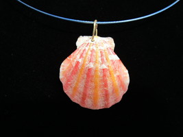 Shell necklace - $12.00