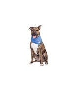 GF PET Ice Band for Dogs - $17.76 CAD