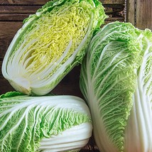 Minuet Chinese / Napa Cabbage Fresh Seeds - £6.53 GBP