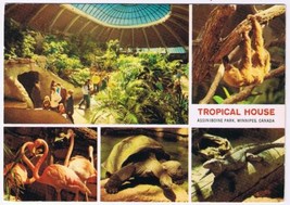 Manitoba Postcard Winnipeg Assiniboine Park Tropical House - £2.35 GBP