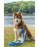 Dockside Adventures Waterproof Dog Leash Blue Standard Length - £33.62 GBP