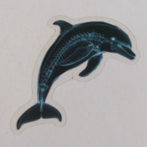 Dolphin X-Ray Transparent Sticker 2.25&quot; x 2.5&quot; (A) - $1.64