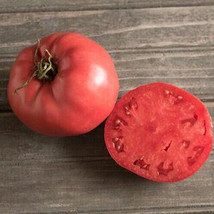VC Amish Heirloom Pennsylvania Rose Tomato Seeds Slicer Salad 1016Oz Fru... - $9.77