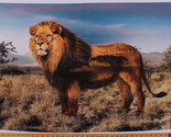 27.25&quot; X 44&quot; Panel Lion Animal Wild Kingdom Scenic Digital Cotton Fabric... - £9.46 GBP