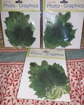 Leaves  Photo Graphics Diecuts 2 - 3 Package - $9.78