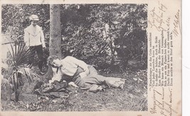 German Woman and Child in Garden Romance Poem 1904 UDB Postcard - £13.94 GBP
