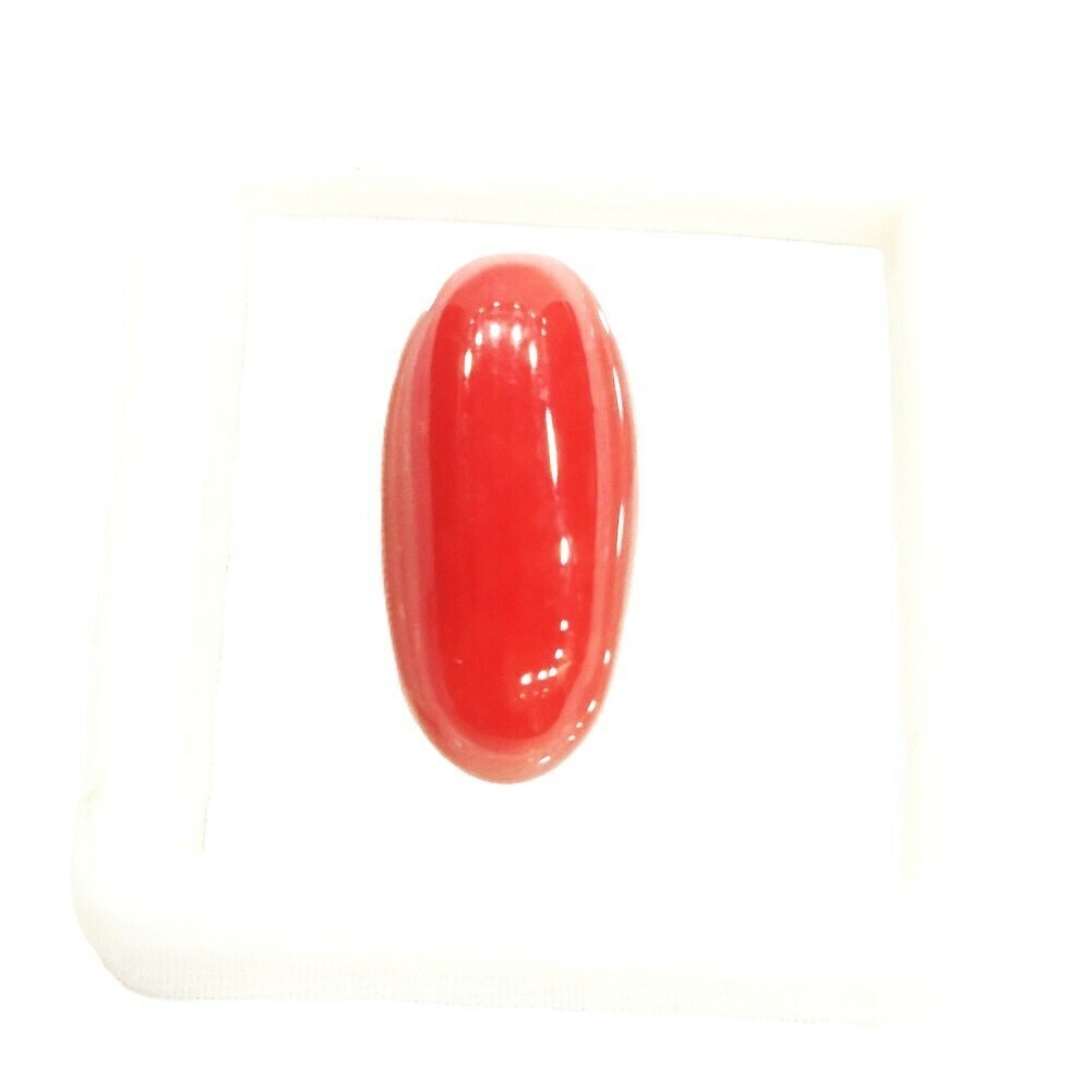 Natural Coral - 8.92 Carats - Italian - IGL Certified - $237.60