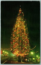 Champion Christmas Tree at Night Tacoma WA Washington UNP Chrome Postcar... - $9.85