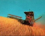 Vtg Plastichrome Postcard - Wheat Harvest in Oregon Smith&#39;s Scenic Views... - $3.91