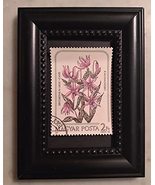 Tchotchke Framed Stamp Art - Flora: Dog&#39;s Tooth Violet - £7.70 GBP