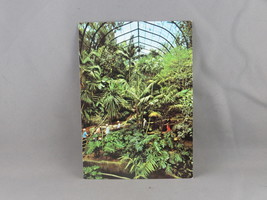 Vintage Postcard - Tropical Rain Forest San Diego Zoo - Unbranded - $20.53 CAD