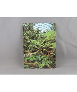 Vintage Postcard - Tropical Rain Forest San Diego Zoo - Unbranded - $20.58 CAD