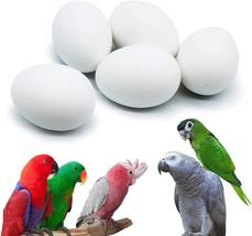 5 Pcs Solid Parrot Plastic Eggs Hatching Eggs Mini Macaw Cockatoo African Grey  - £11.74 GBP