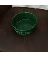 Rae Dunn Large Size Green Furry &amp; Bright Dog Bowl - $17.24