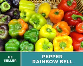 25 Mix Pepper Rainbow Bell Sweet Seeds Capsicum annuum Heirloom Vegetable - £14.24 GBP